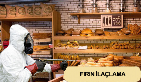 Ev İlaçlama Hizmeti